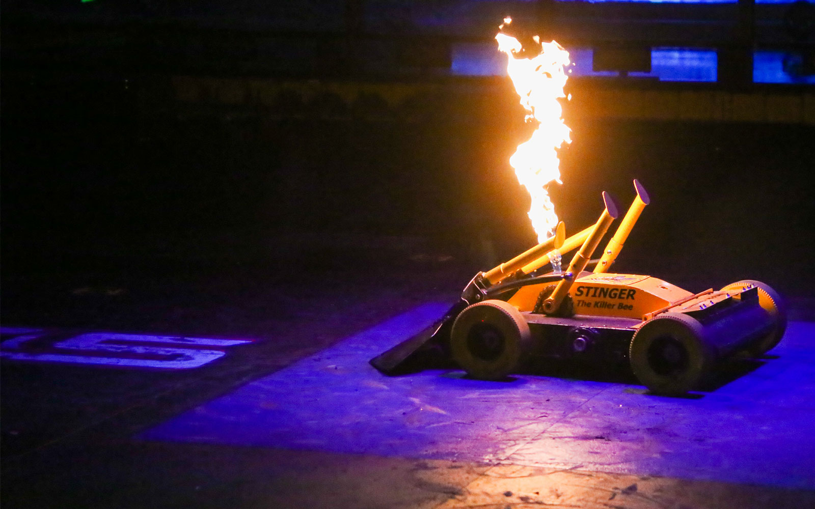 Meet the BattleBots